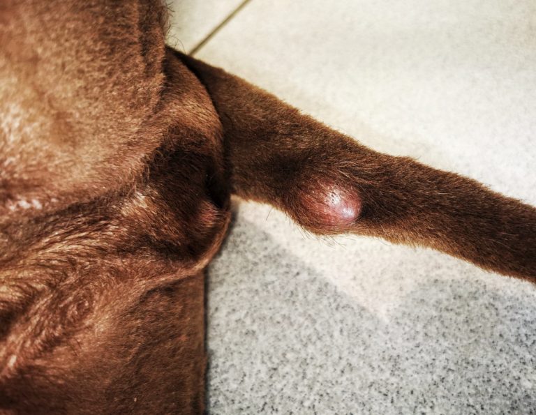 keretinizaciós zavar