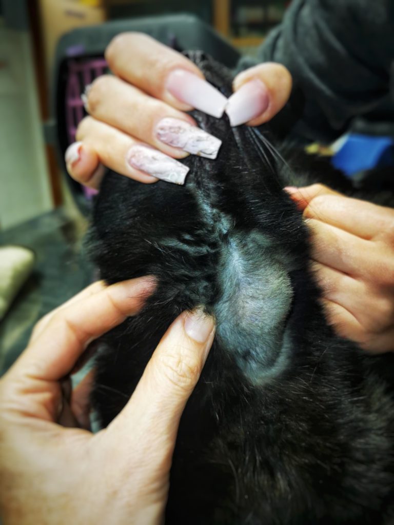 Pajzsmirigytájéki duzzanat