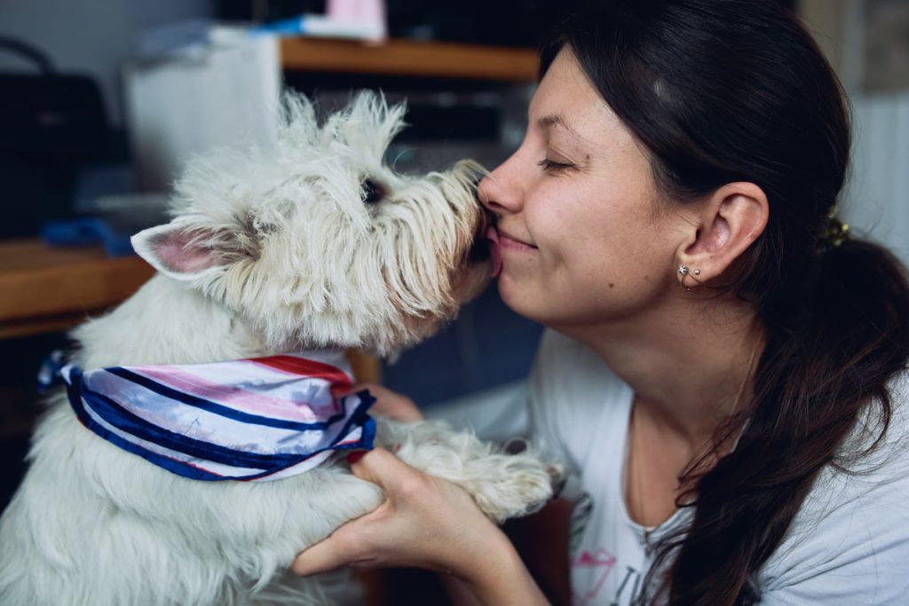 Westie a gazdijával